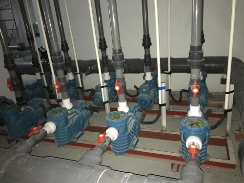 水泵亚洲国产麻豆