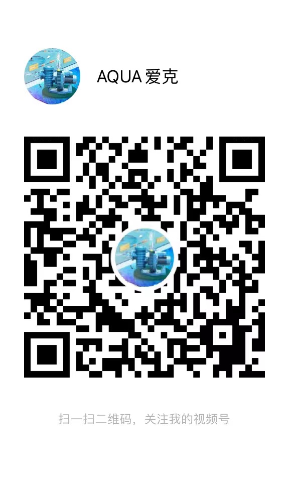 91麻豆电影在线观看视频号