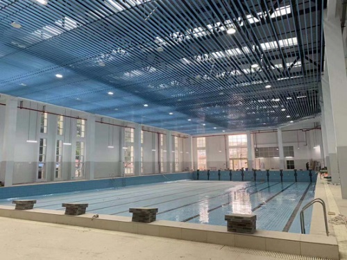 重庆某大学麻豆三级高潮性爱片