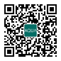 91麻豆电影在线观看公众号