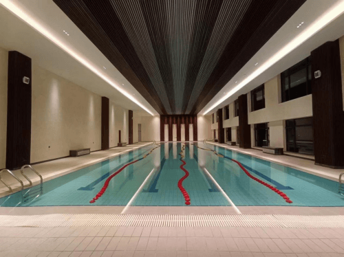 游麻豆三级高潮性爱片